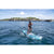 Aqua Marina Beast Aqua Splash Advanced All Around iSUP Stand Up Paddleboard With Hybrid Paddle